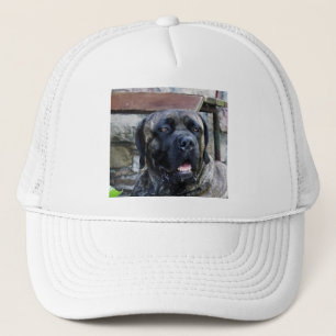 cane corso grey brindle trucker hat