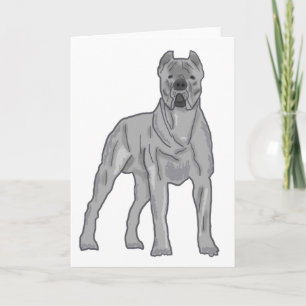Cane Corso Holiday Card