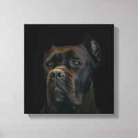 Cane Corso - Italian Mastiff