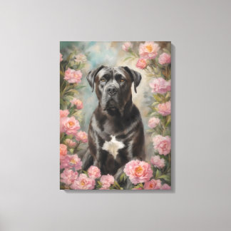 Cane Corso Italian Mastiff Canvas Print