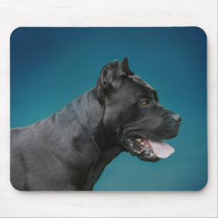 Cane Corso - Italian Mastiff Mouse Mat