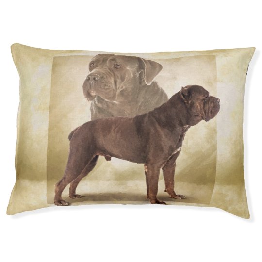 Cane Corso Italian Mastiff Pet Bed Zazzle.co.uk