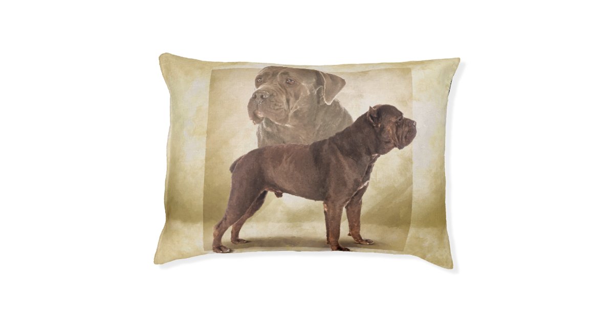 Cane Corso Italian Mastiff Pet Bed Zazzle.co.uk