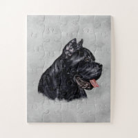 Cane Corso - Italian Mastiff Portrait