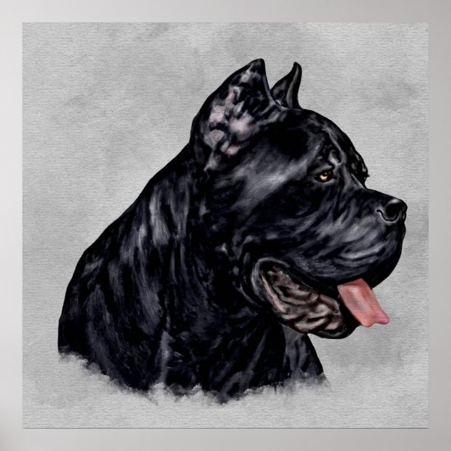 Cane Corso - Italian Mastiff Portrait Poster (Front)
