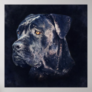 Cane Corso - Italian Mastiff Portrait Poster