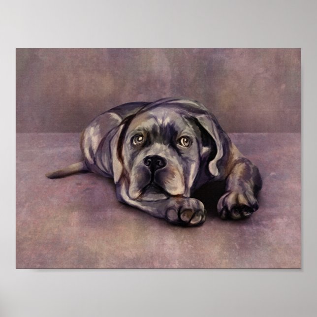 Cane Corso — Italian Mastiff Puppy Poster (Front)