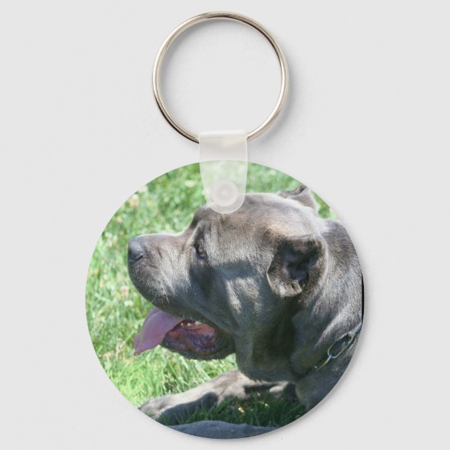 Cane Corso keychain (Front)