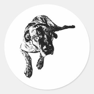 Cane Corso Lying Pose Dog Art Sticker