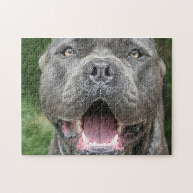 Cane Corso Mastiff Dog Jigsaw Puzzle (Horizontal)
