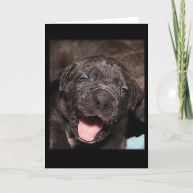 Cane Corso Mastiff Puppy Card (Front)