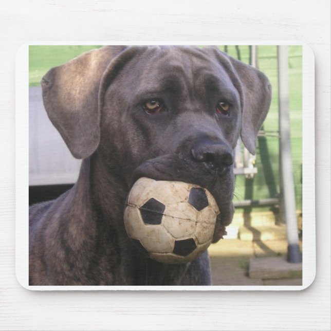 cane corso.png mouse mat (Front)
