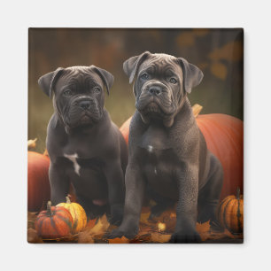 Cane Corso Puppy Autumn Delight Pumpkin Magnet