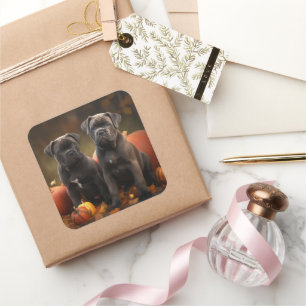 Cane Corso Puppy Autumn Delight Pumpkin Square Sticker