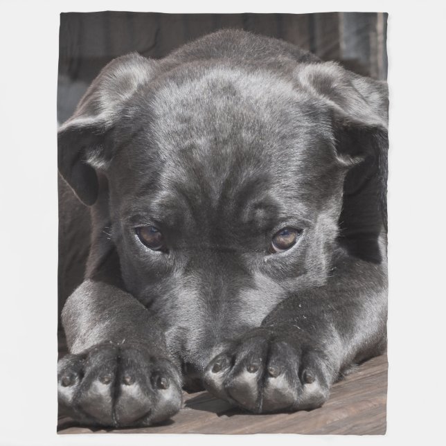 Cane Corso Puppy Fleece Blanket (Front)