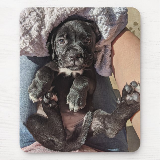 Cane Corso  Puppy Mouse Pad (Front)