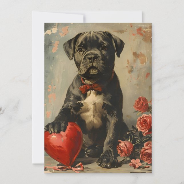 Cane Corso puppy vintage Valentine's day Holiday Card (Front)