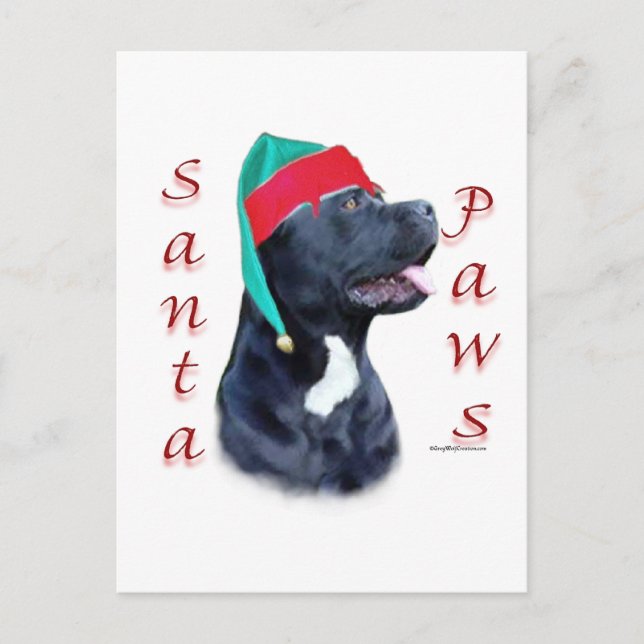 Cane Corso Santa Paws Holiday Postcard (Front)