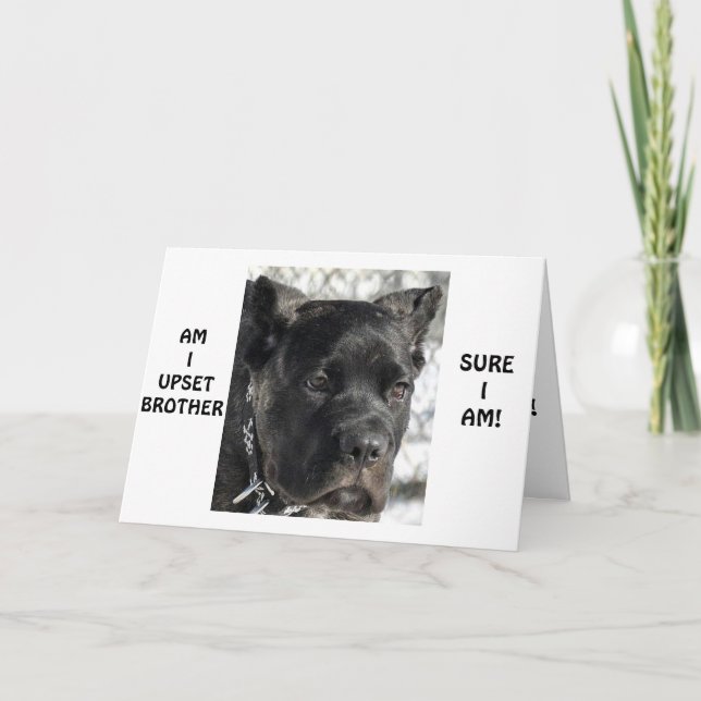 CANE CORSO SAYS BROTHER LOOKS YOUNG ON BIRTHDAY CARD (Front)