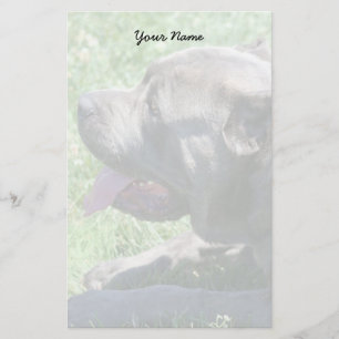 Cane Corso Stationary Stationery