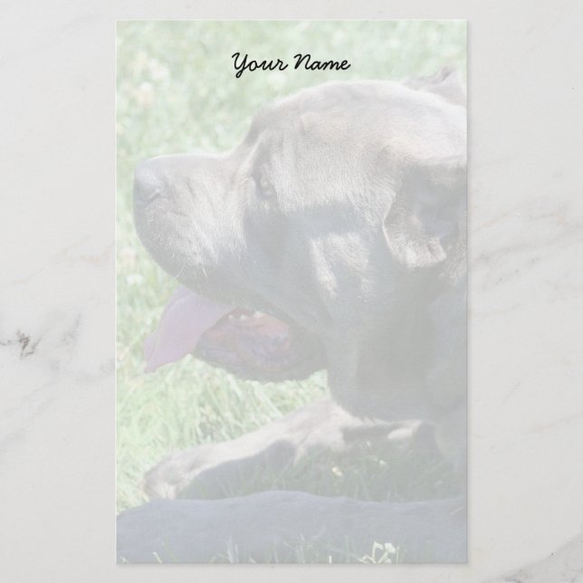 Cane Corso Stationary Stationery (Front)
