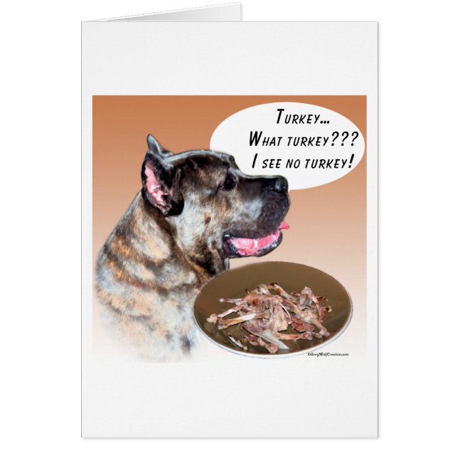 Cane Corso Turkey (Front)