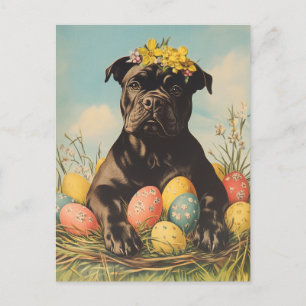 Cane Corso Vintage Easter Postcard