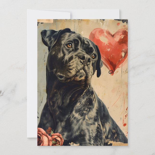 Cane Corso Vintage Valentine's day,  Holiday Card (Front)