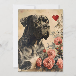Cane Corso Vintage Valentine's Day  Holiday Card
