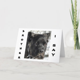 CANE CORSO WANTS TO CELEBRATE BROTHER'S BIRTHDAY CARD