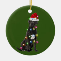 Cane corso With Christmas Scafts Santa Hat
