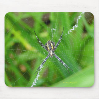 Cane spider - Big Island mousepad