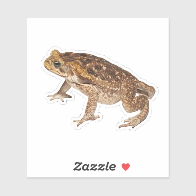 Cane Toad (Sheet)