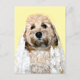 Canine bride or bridesmaid postcard