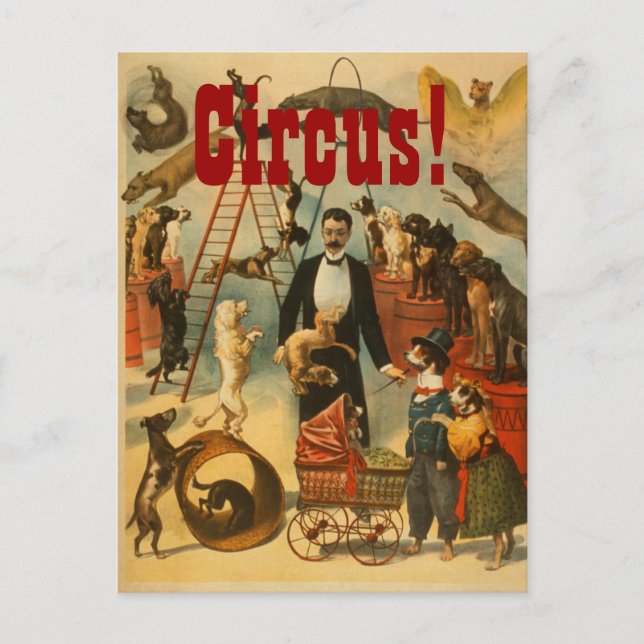 Canine Circus - Postcard #2 (Front)