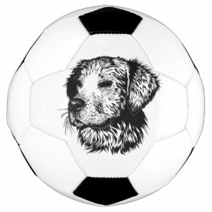 Canine Head Sketch Football
