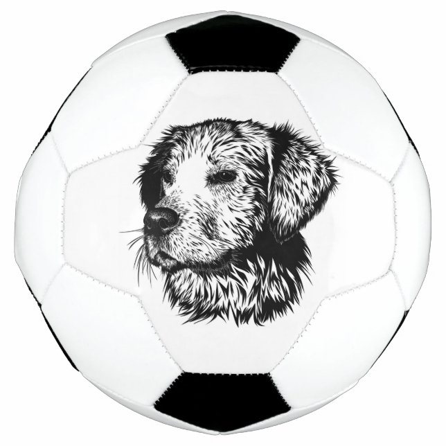 Canine Head Sketch  Football (Front)