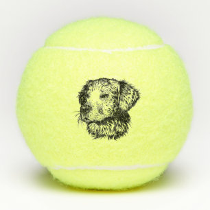 Canine Head Sketch  Tennis Balls