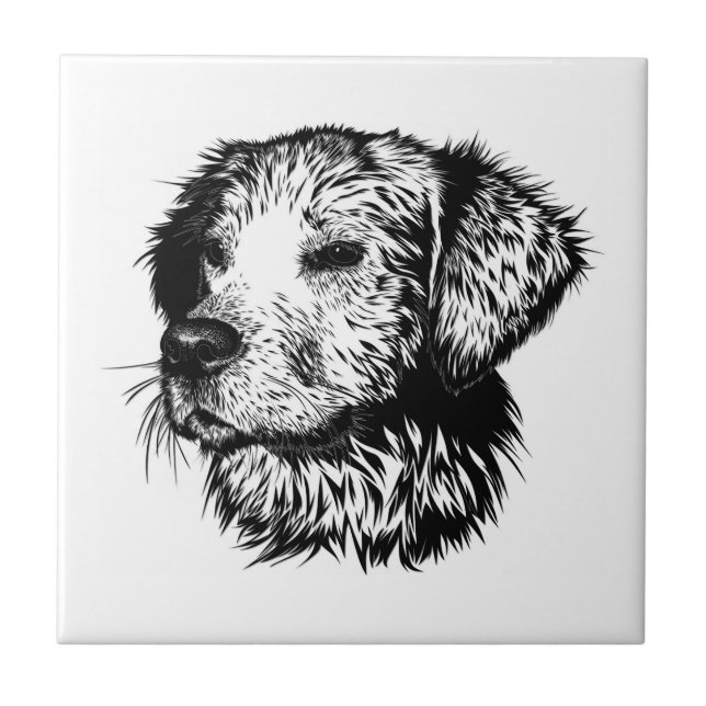 Canine Head Sketch  Tile (Front)