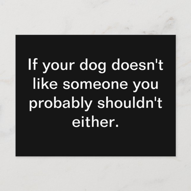 Canine Wisdom - Postcard (Front)