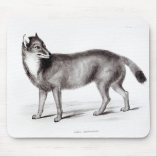 Canis Antarcticus Mouse Mat