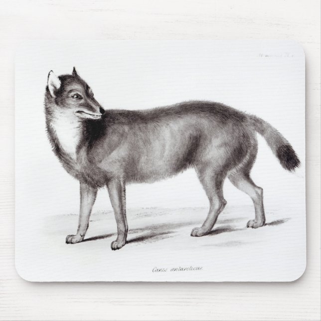 Canis Antarcticus Mouse Mat (Front)