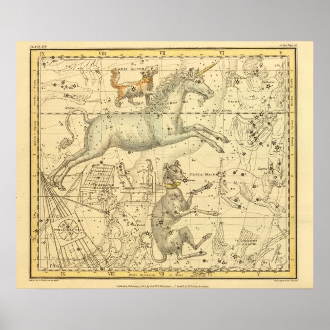 Canis Major, Canis Minor, Monoceros, Argo Navis Poster (Front)