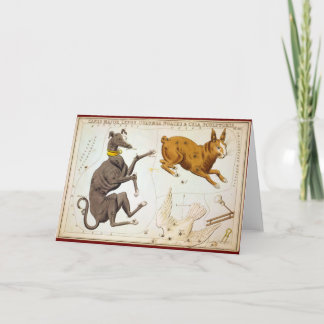 Canis Major, Lepus, Columba Noachi & Cela Sculptor Card