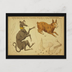 Canis Major, Lepus, Columba Noachi Cela Sculptoris Postcard
