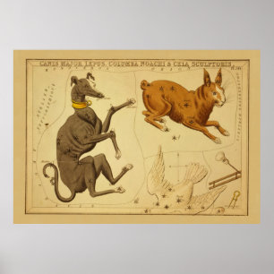 Canis Major Vintage Astronomical Star Chart Image