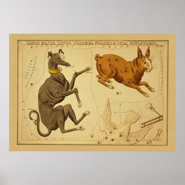 Canis Major Vintage Astronomical Star Chart Image (Front)