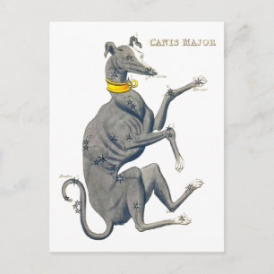 Canis Major Vintage Star Map Postcard
