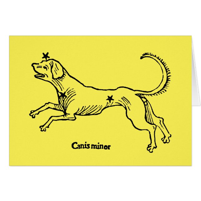 Canis Minor, 1482 (Front Horizontal)