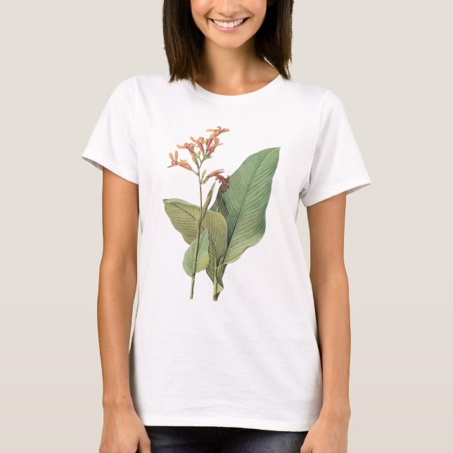 canna(Canna gigantea) by Redouté T-Shirt (Front)